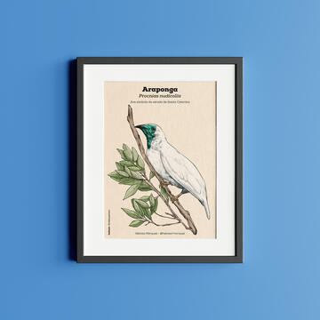 print - original print - original