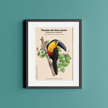 print - original