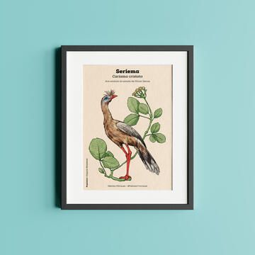 print - original